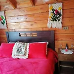 Cabanas El Diuco En Conaripe 4