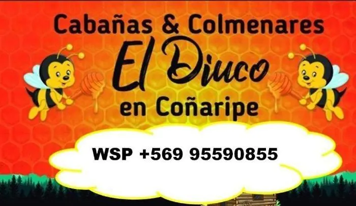 Cabanas El Diuco En Conaripe 4