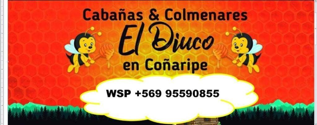 El Diuco En 4 * Coñaripe
