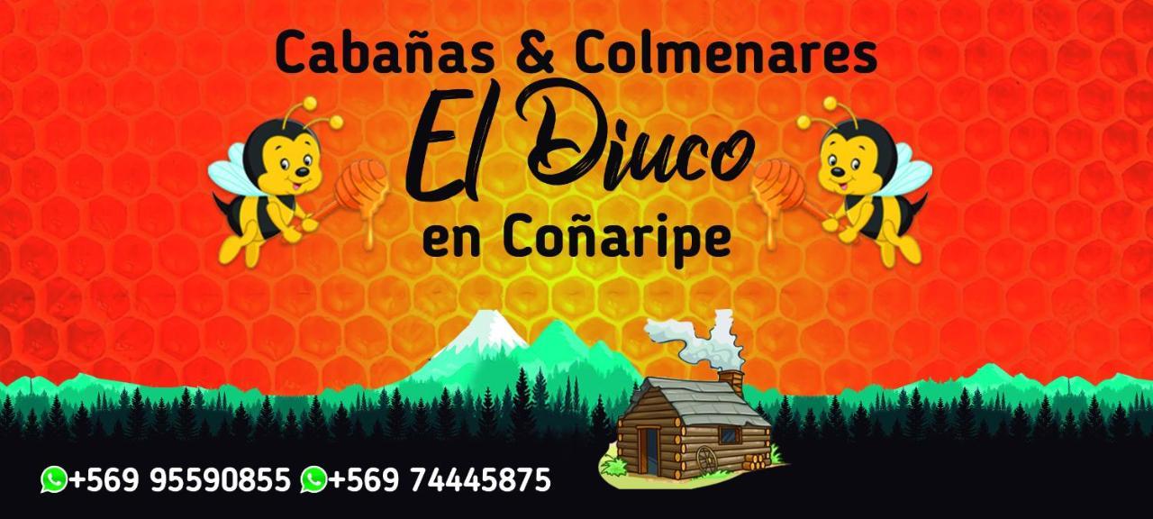 Alojamento El Diuco En 4